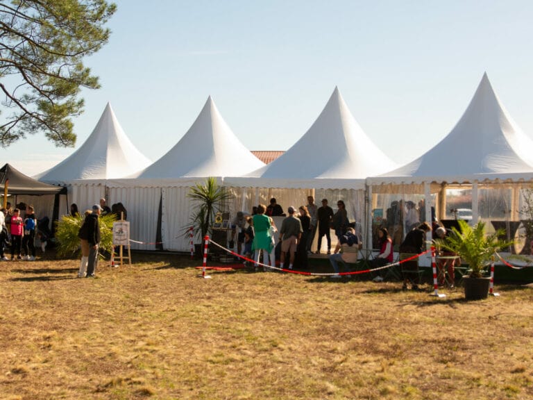 FÊTE DE L'AVIATION - PAPAGALLO